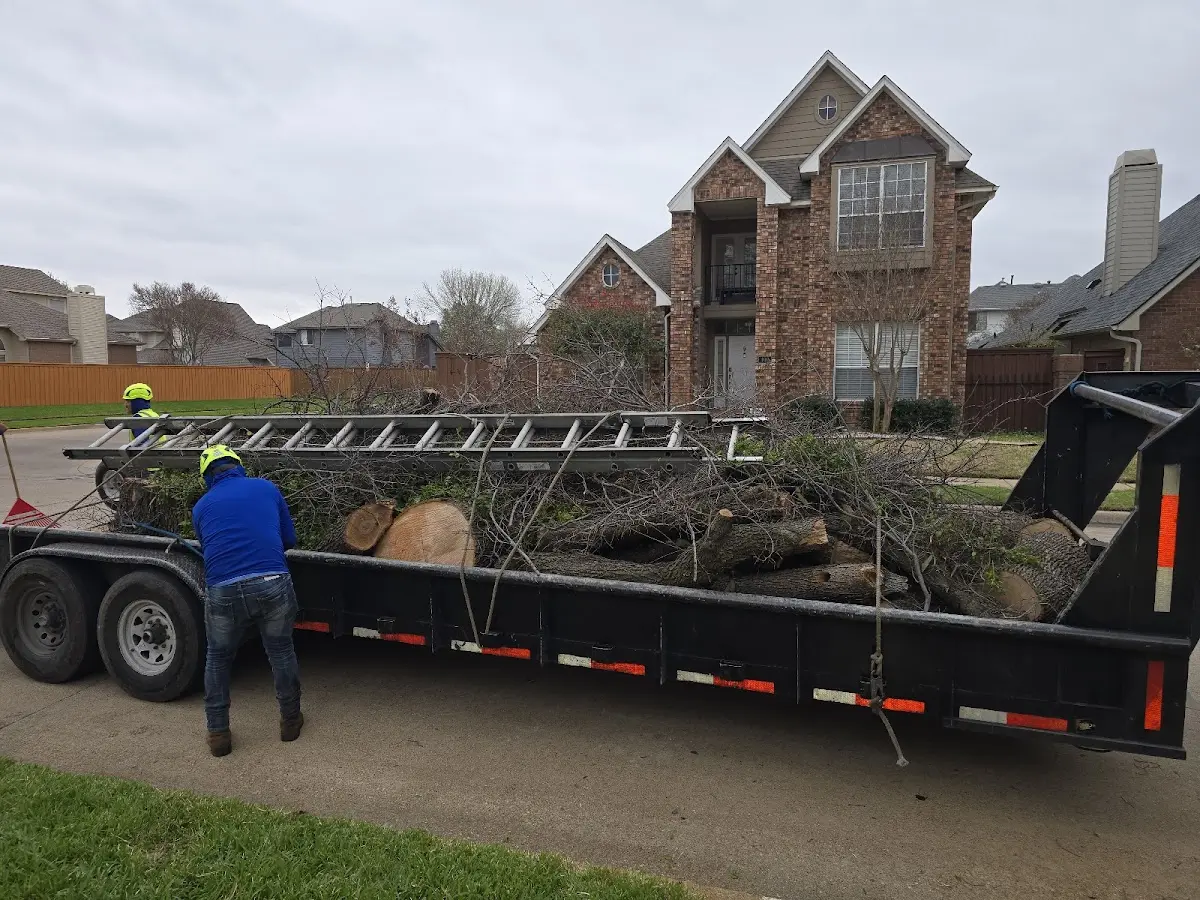 Expert Tree Removal with proper safety equipment in Hutsonville